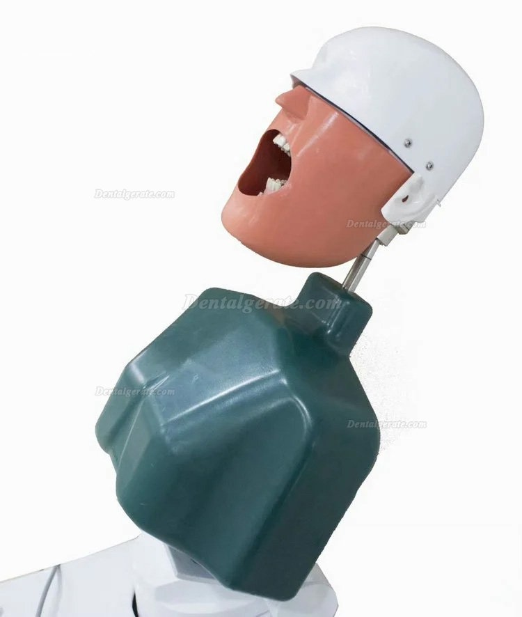 Jingle JG-A1 Phantomkopf Zahnmedizin-Patientensimulator Dentale Simulationseinheiten
